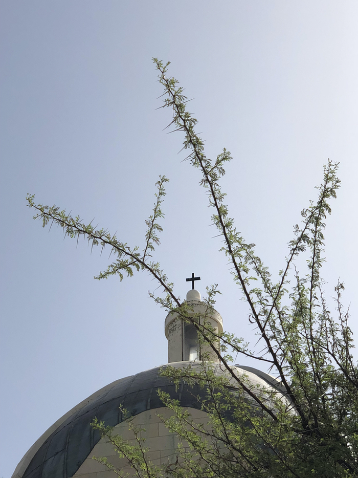 Crown of Thorns